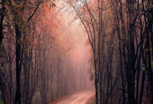 北京本轮疫情毒株传染性很强，病毒升级为“闪电传播”模式？